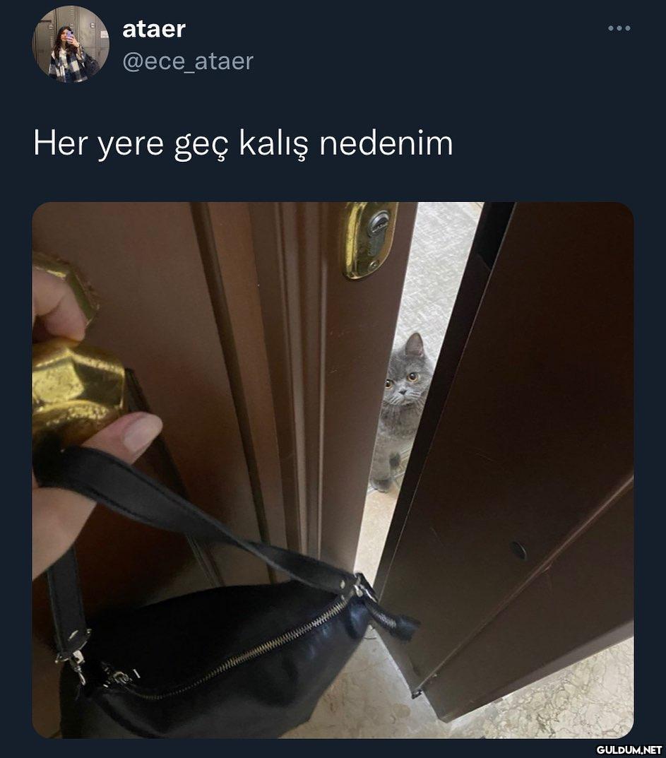 ataer @ece_ataer Her yere...