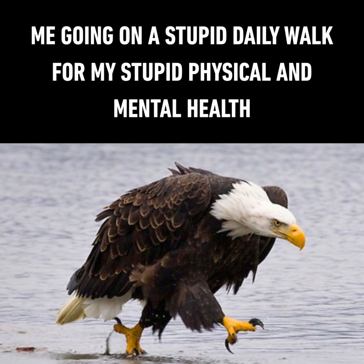 why does the step count...