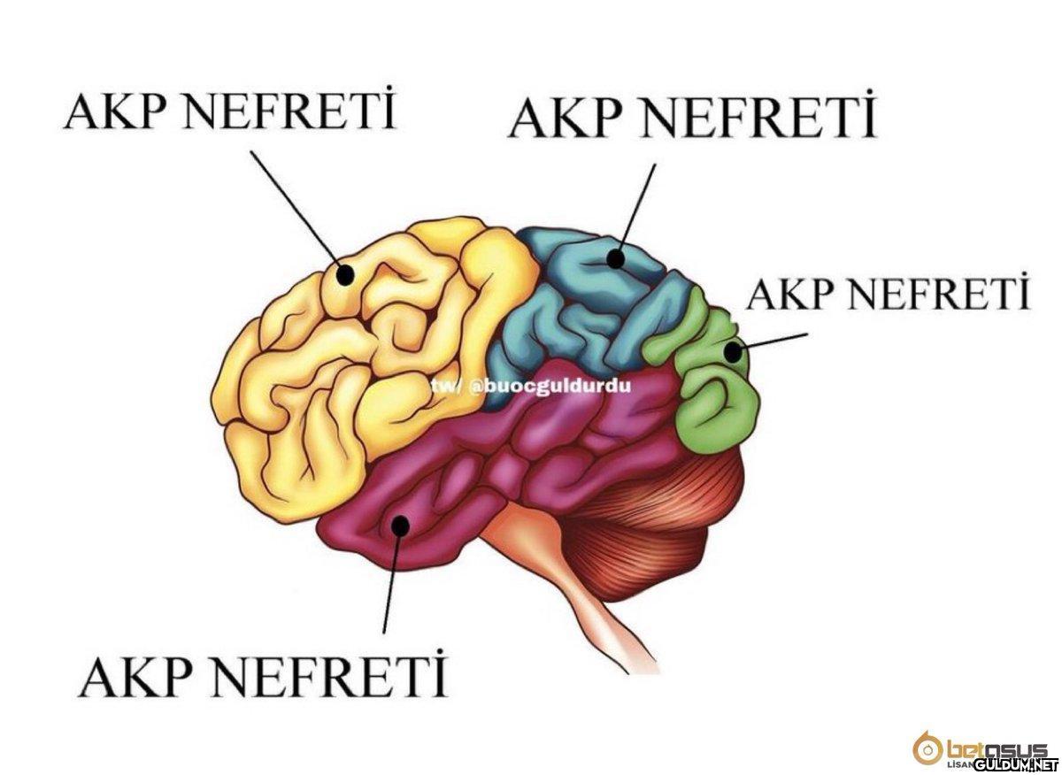 AKP NEFRETİ AKP NEFRETİ...