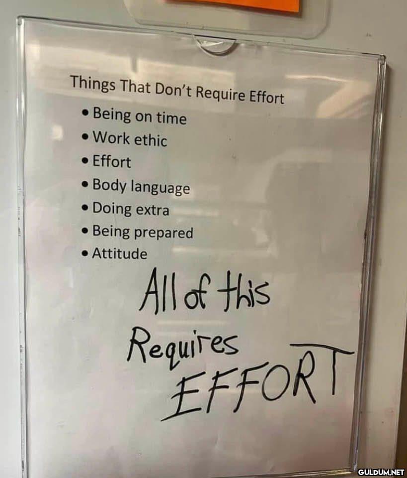 they really put 'effort'...