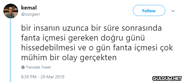 kemal Follow @corgierr bir...
