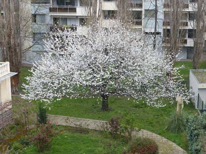 🌳İnsandan tehlikeli...