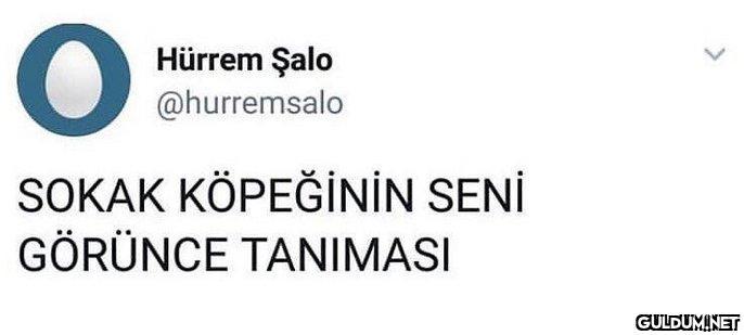 İnsana kendini iyi...