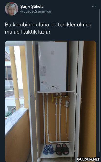 https://t.co/ZxzqfrXCqi  ...
