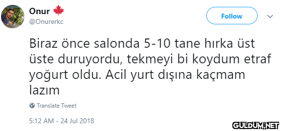 Onur Follow @Onurerkc...