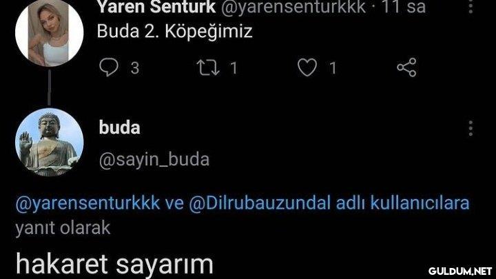 Hdhdhsjsjjaja...