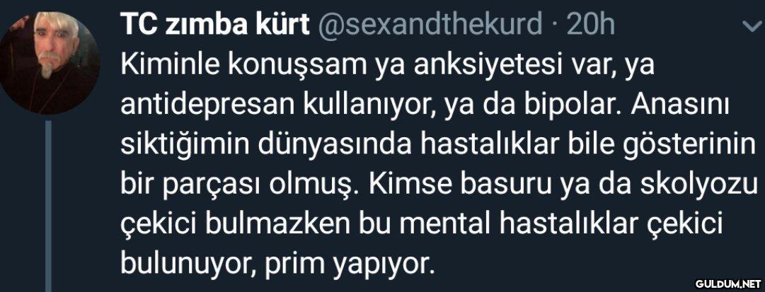 TC zımba kürt...