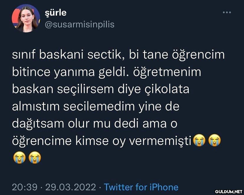 şürle @susarmisinpilis...