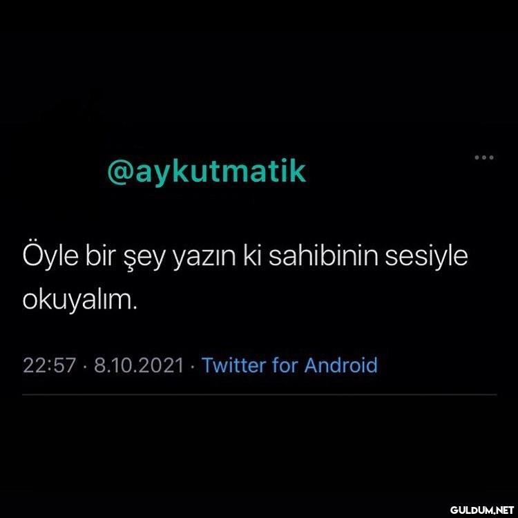 Salak salak konuşma beaaa...
