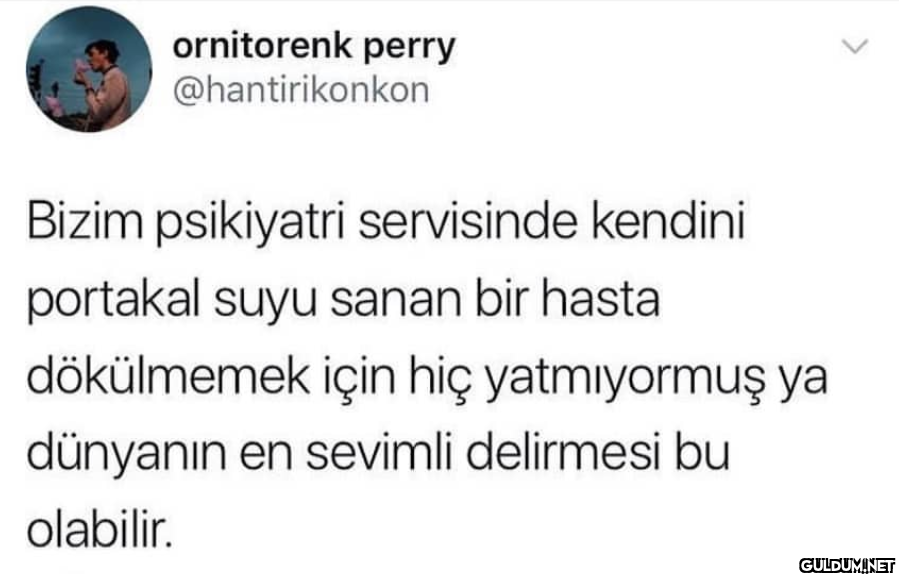 ornitorenk perry...