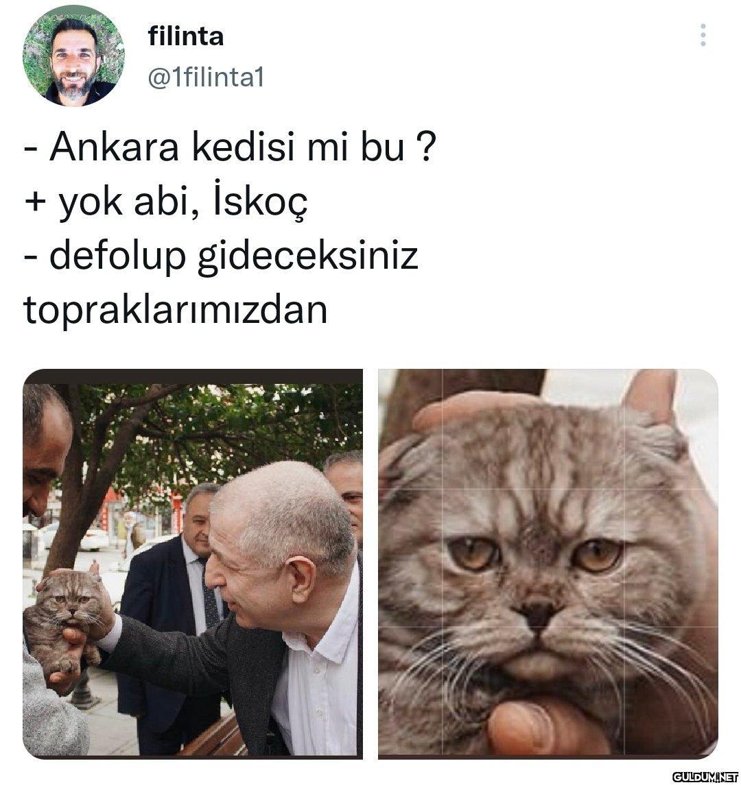 https://t.co/PXh09lKyTH  ...