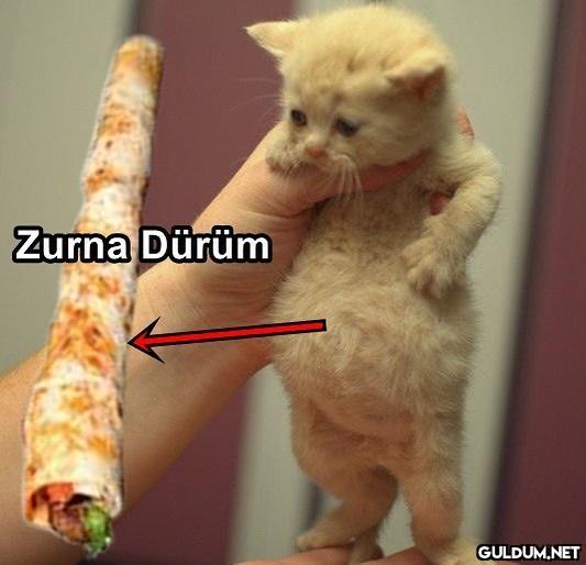 Birtakım bulgular tespit...