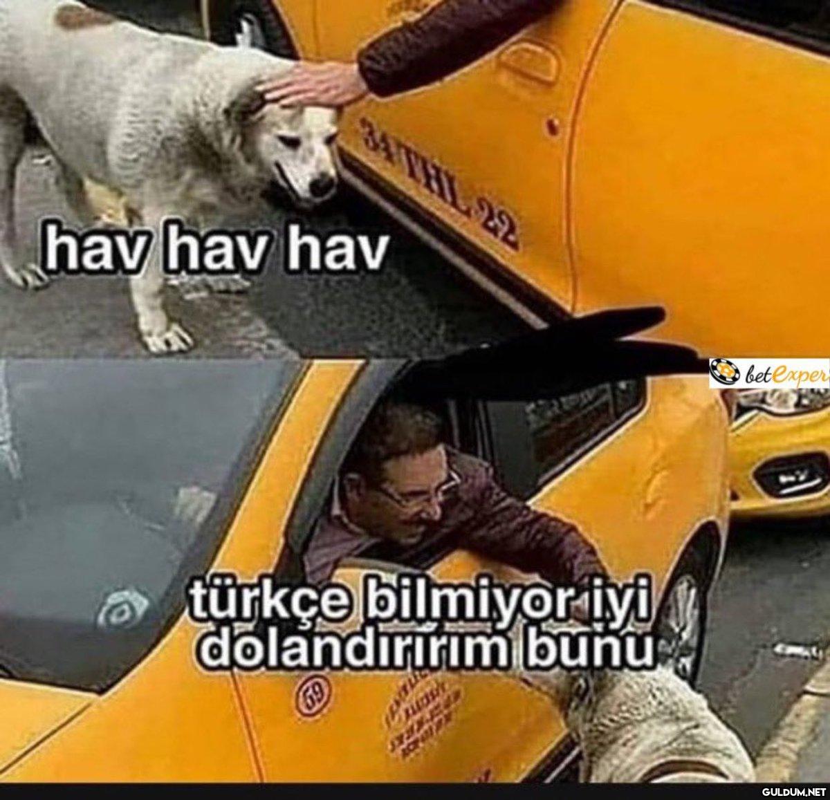 https://t.co/fErLQMZ2SU  ...