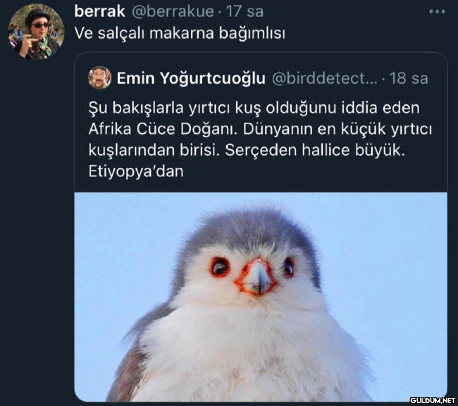 berrak @berrakue · 17 sa...