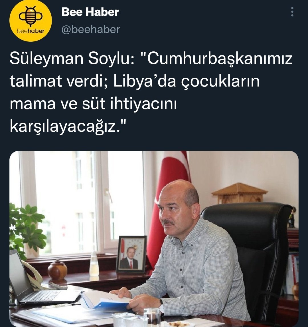 Bee Haber @beehaber...