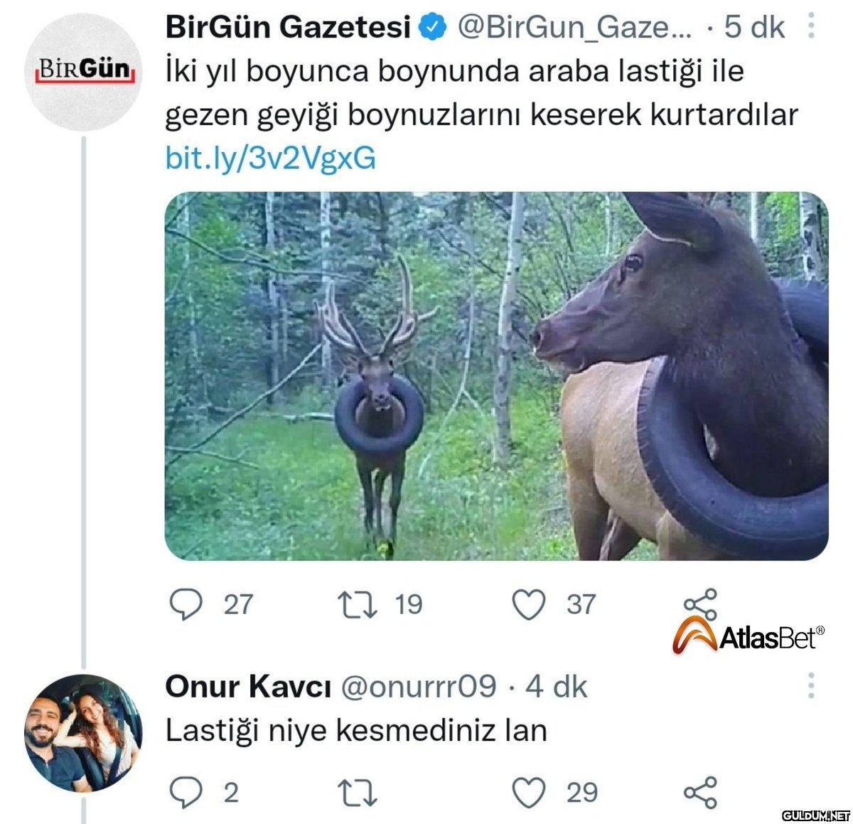 🤦‍♂️...