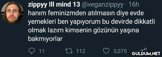 zippyy III mind 13...
