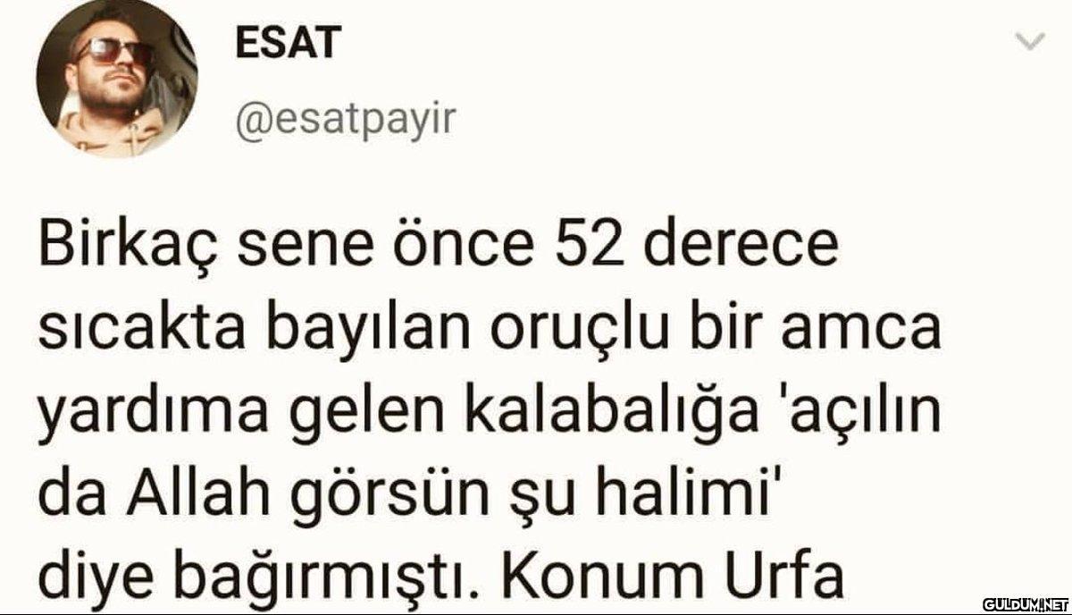 https://t.co/8e1amWykam  ...