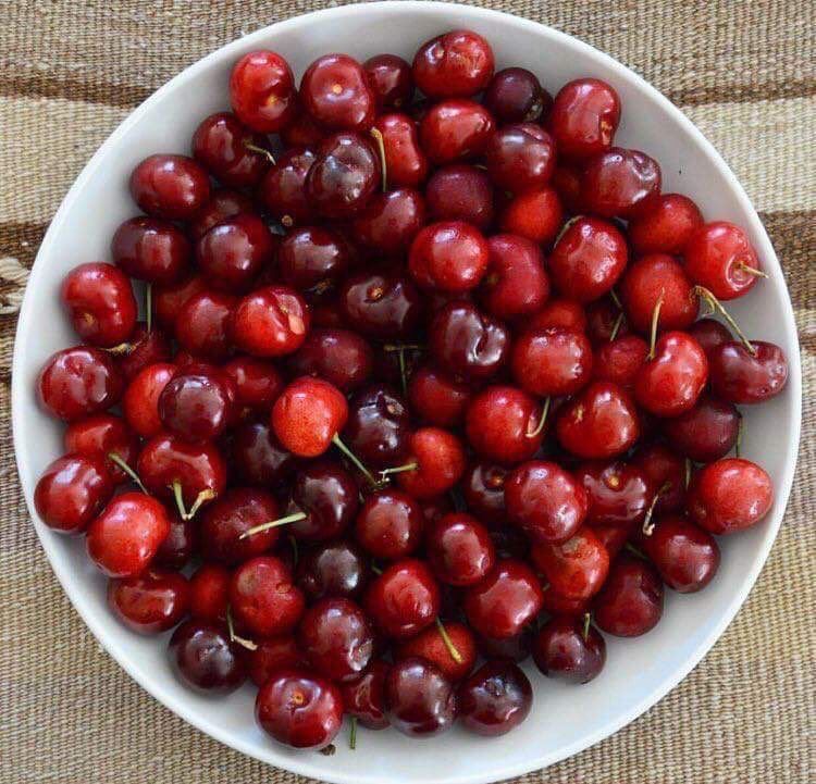 YAZ GELİYOR.....