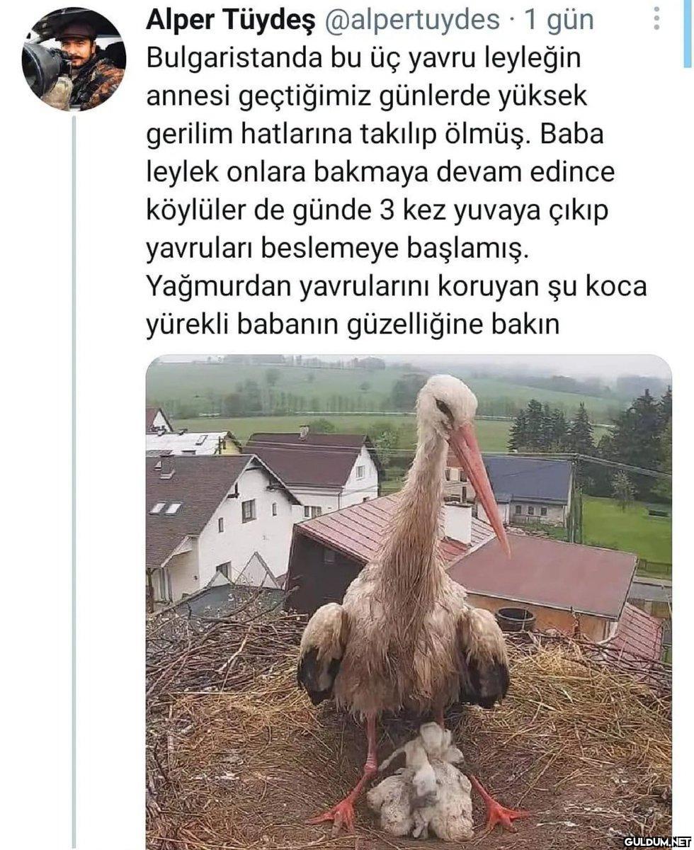 🥺👏 https://t.co/zbfgVtMOny...
