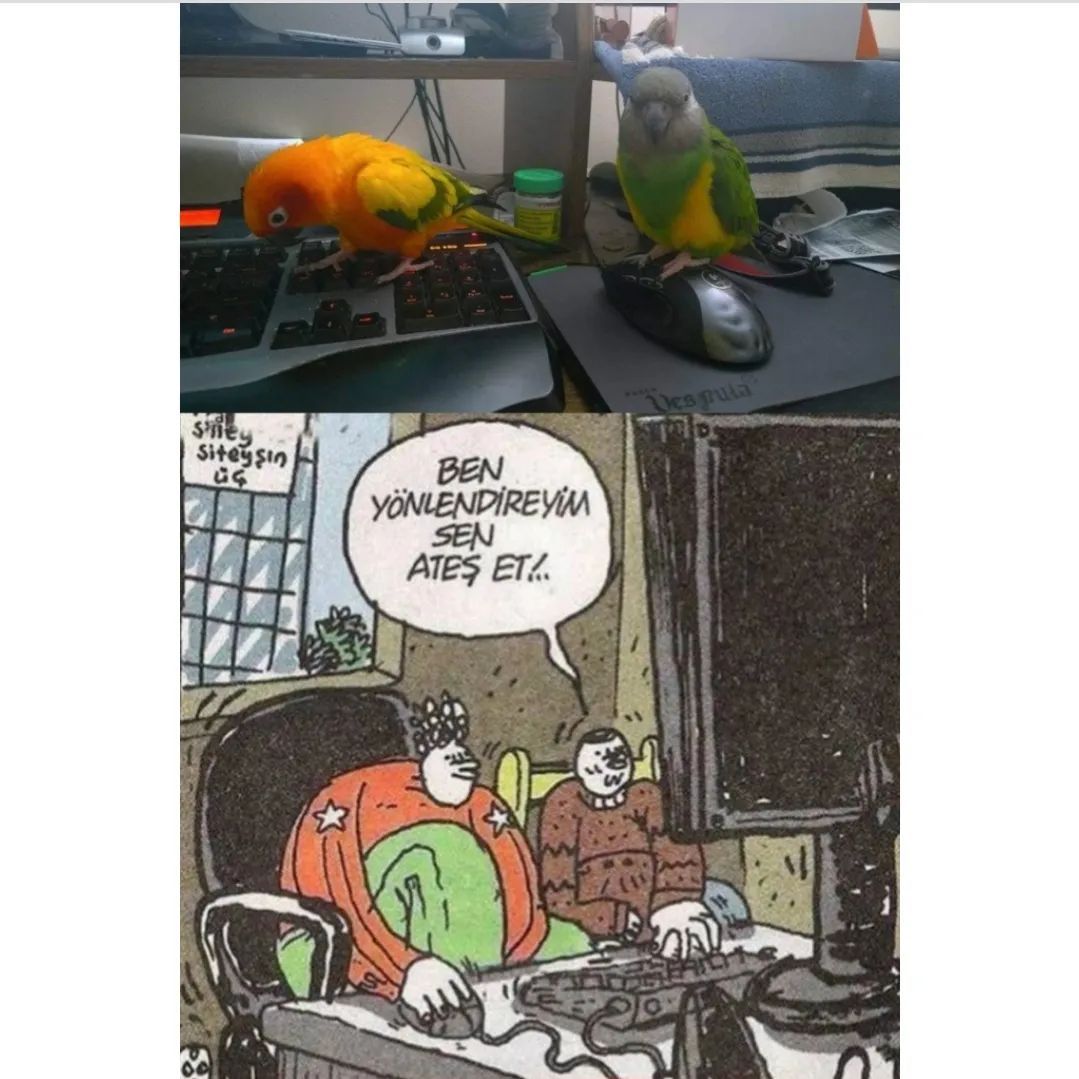 Sen yönlendir, ben ateş...
