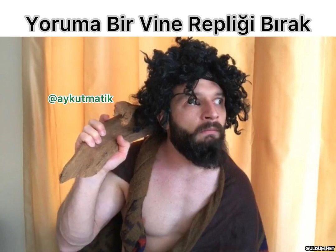 Yoruma bir vine repliği...