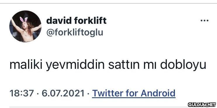 david forklift...