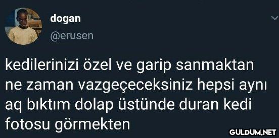 dogan @erusen kedilerinizi...