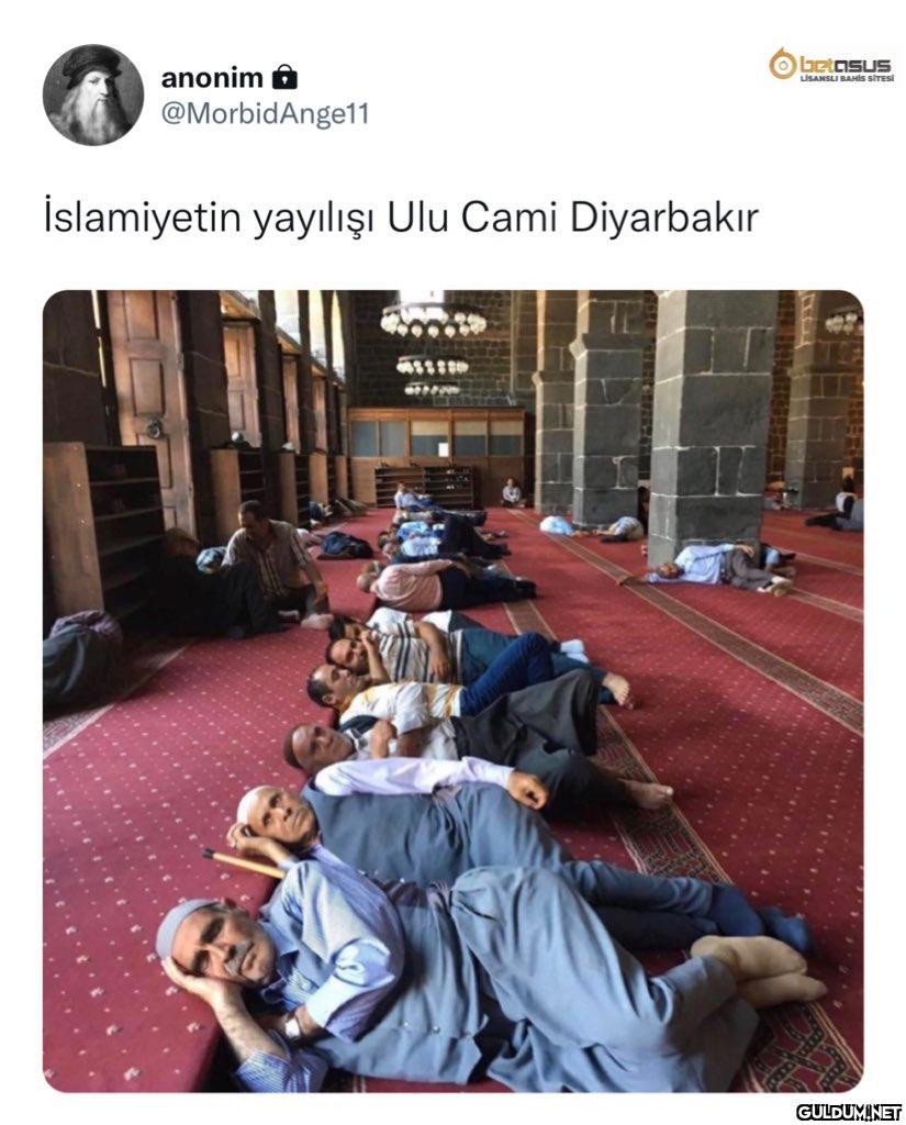 anonim 6 O betosuS...