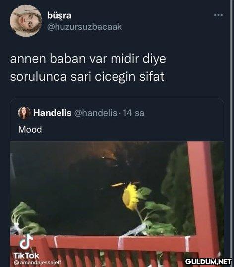 büşra @huzursuzbacaak ......