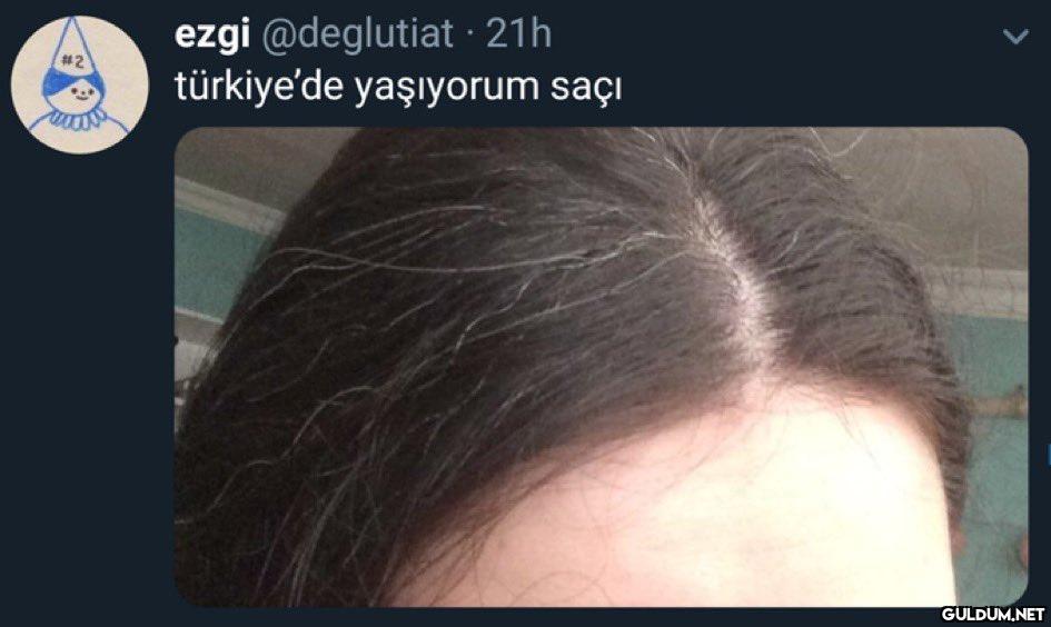 ezgi @deglutiat · 21h...