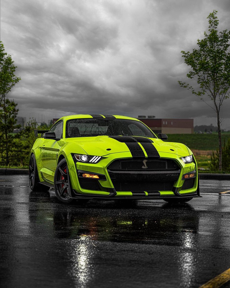 Ford Mustang Shelby GT500...