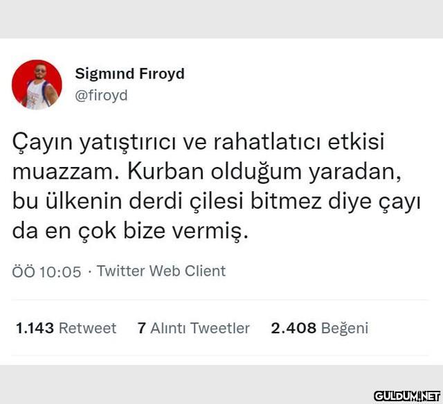 Sigmind Fıroyd @firoyd...