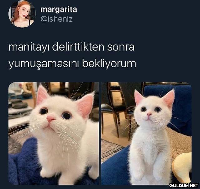 margarita @isheniz...