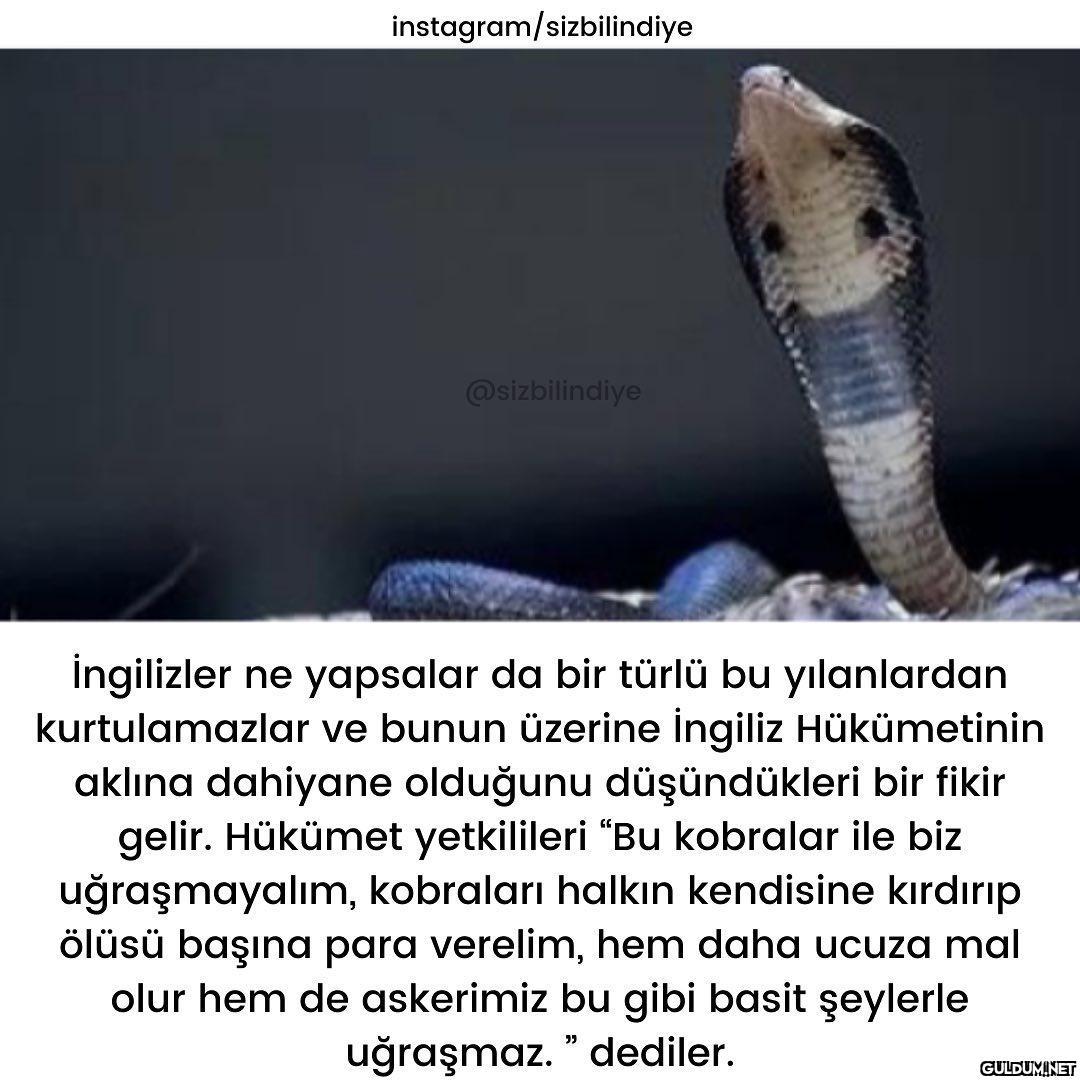 İlginç bir hikayeyle...