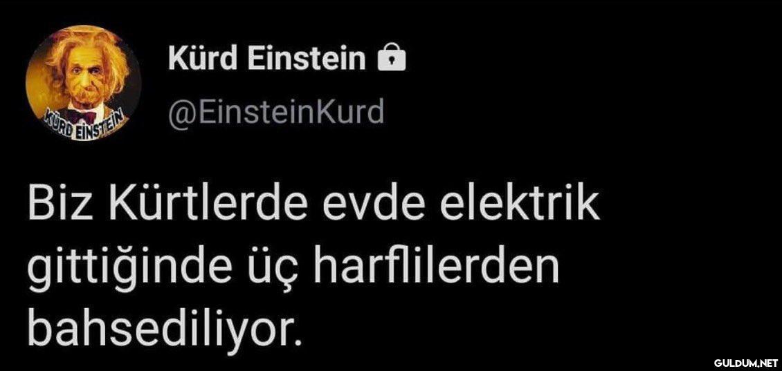 Kürd Einstein a KÜRD...