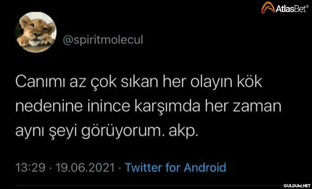 https://t.co/3XG6IWw0Cj  ...