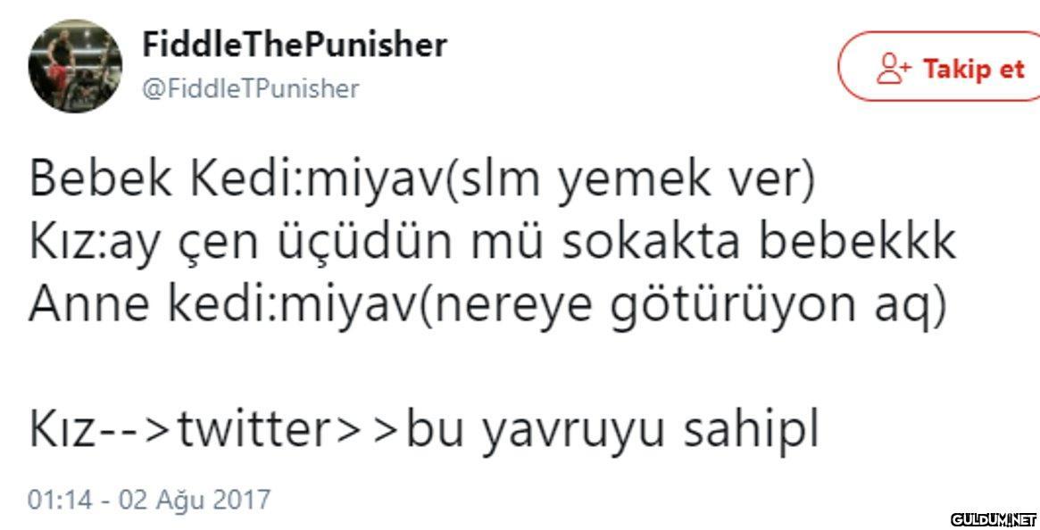 FiddleThePunisher 8 Takip...