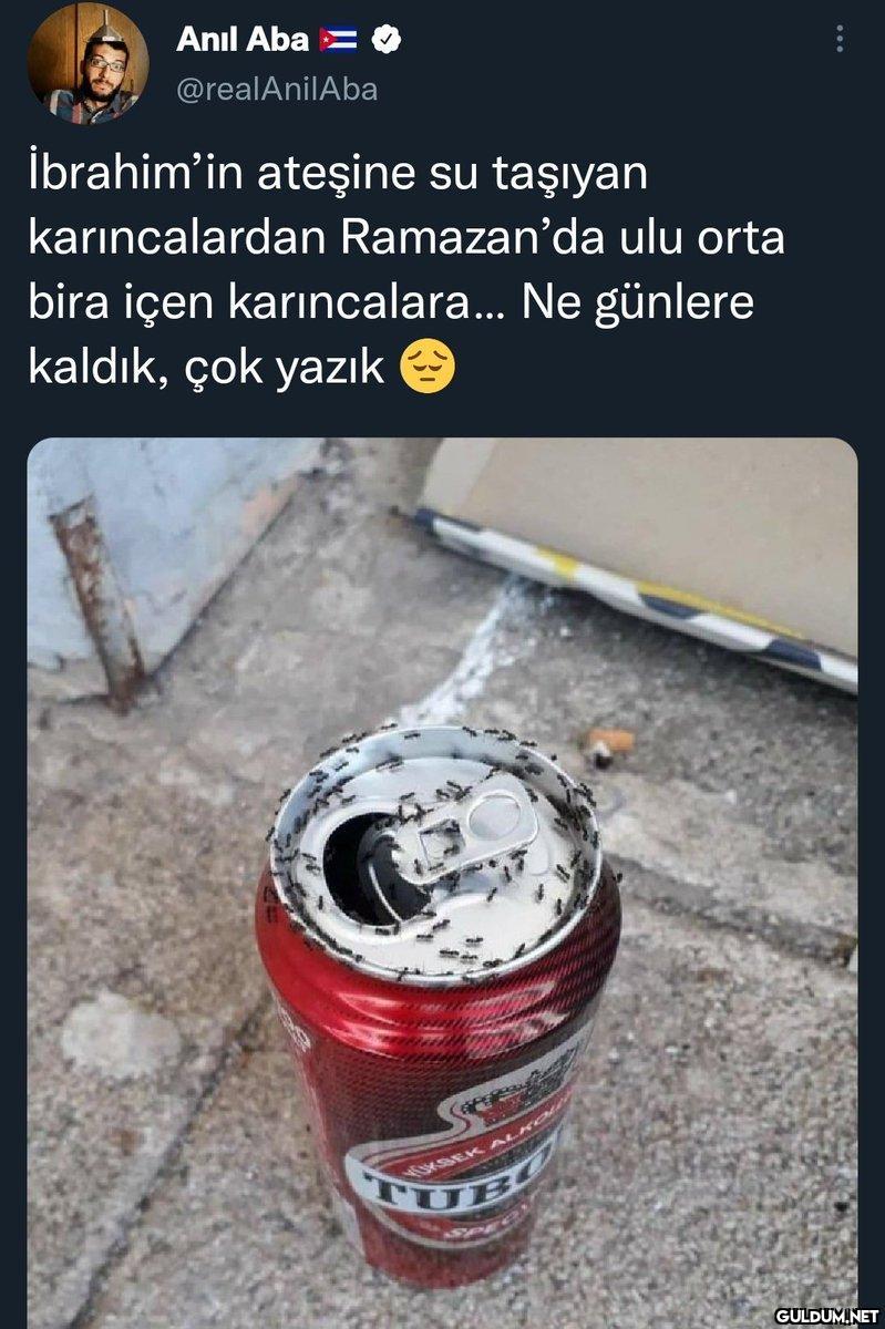 Anıl Aba = @realAnilAba...
