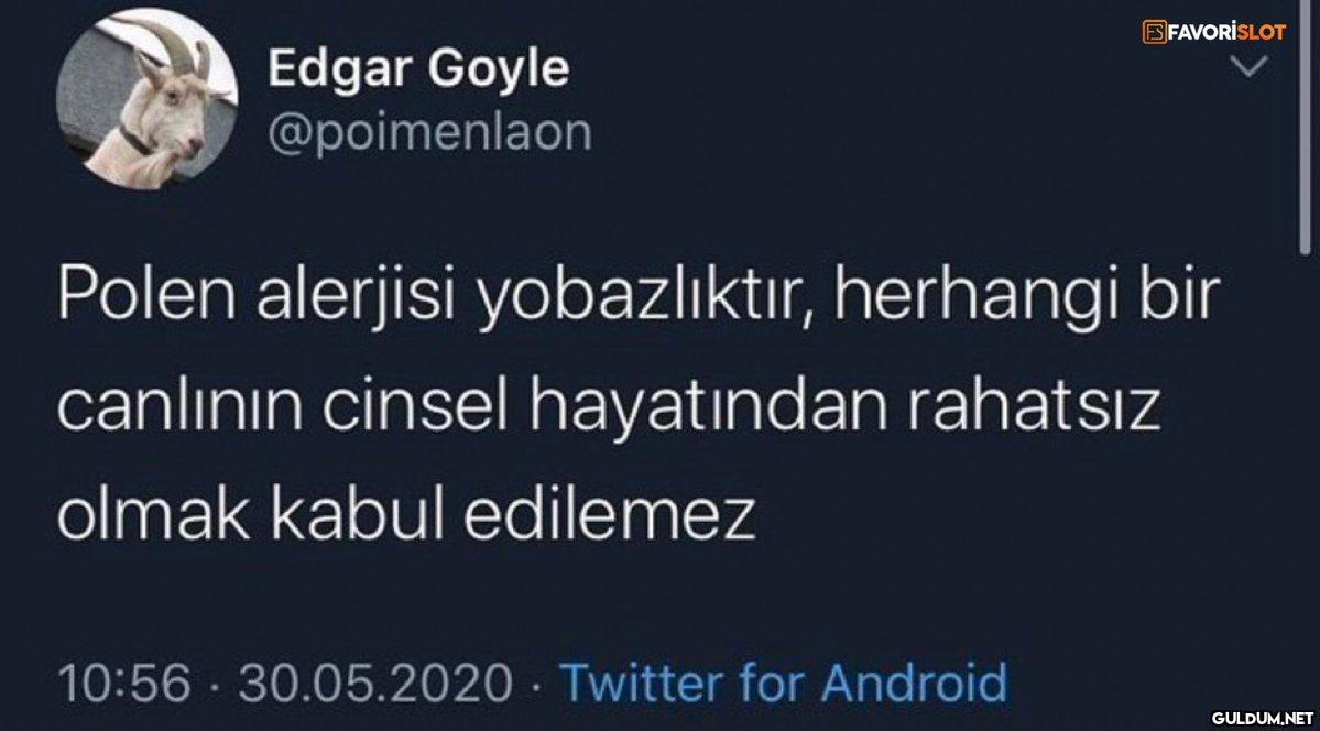 BFAVORİSLOT Edgar Goyle...