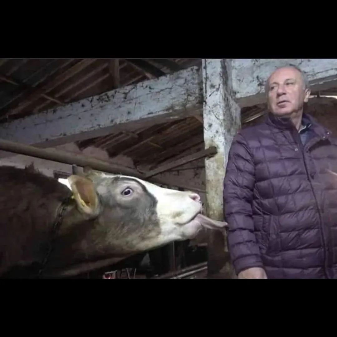- Yanlış anlamazsan seni...