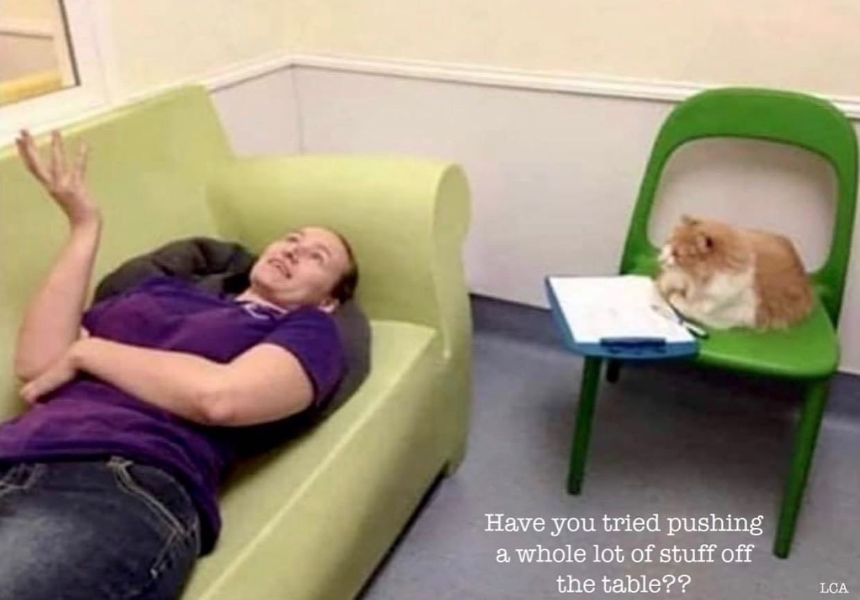 @someones.therapist 🐈  Kaynak