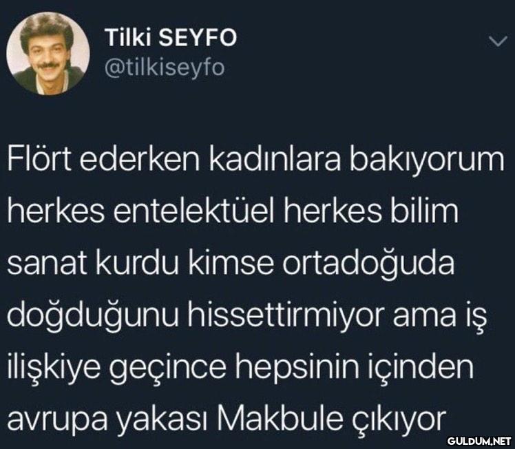 Tilki SEYFO @tilkiseyfo...