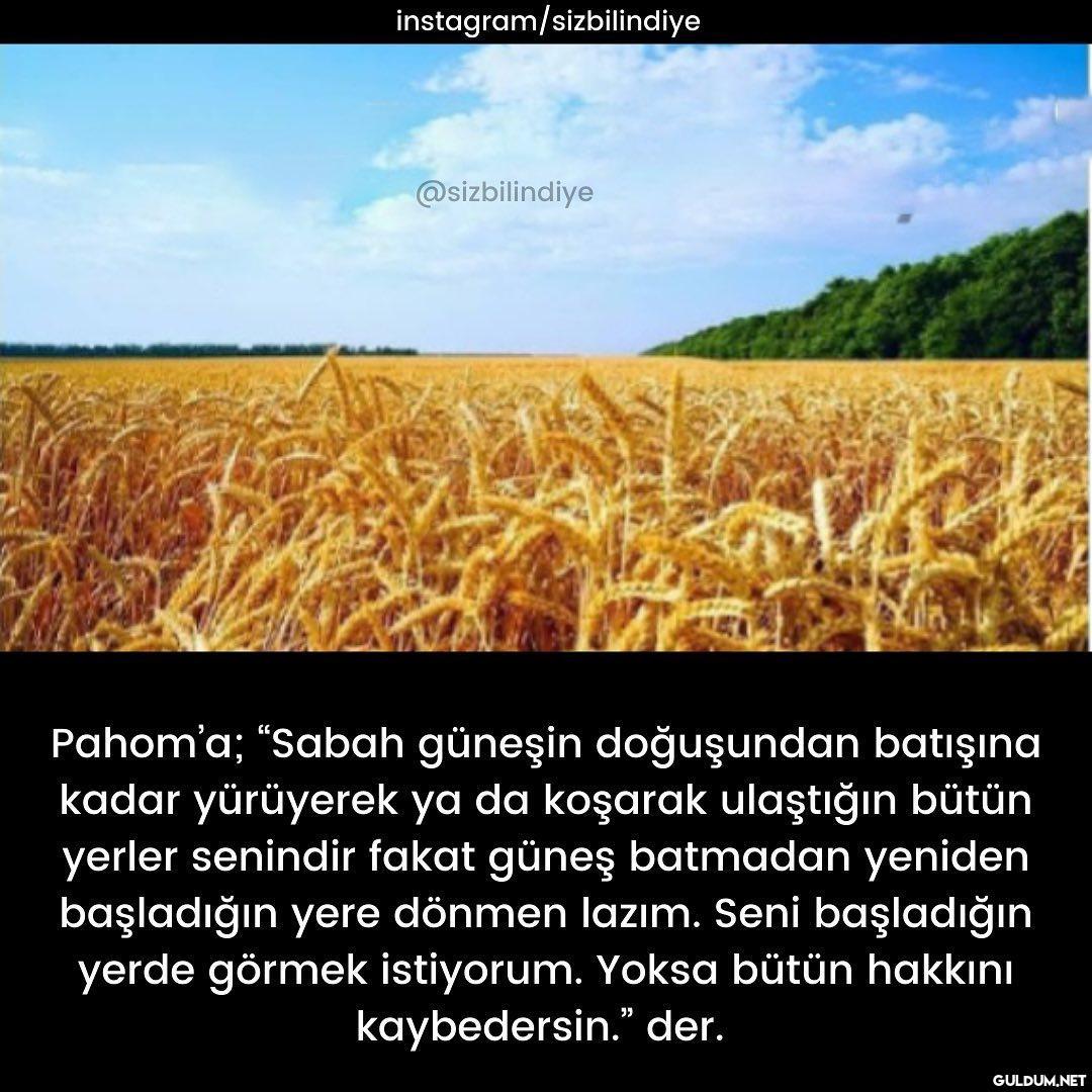 10/10 kitaptan müthiş bir...