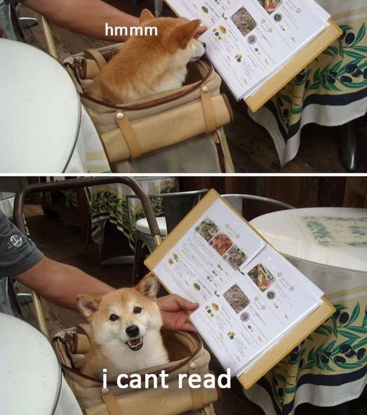 @not.not.reading 🐶  Kaynak