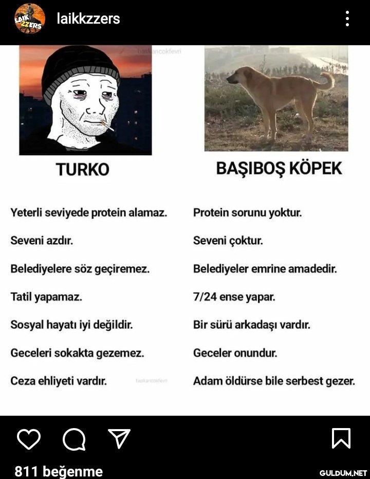 https://t.co/XJBpgtH1Zy  ...