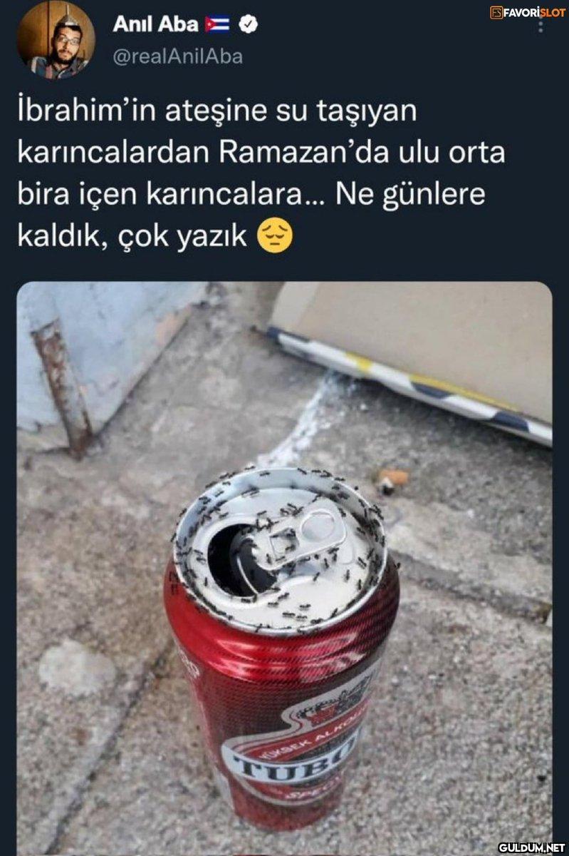 ahjshahahahhahahaahshh...