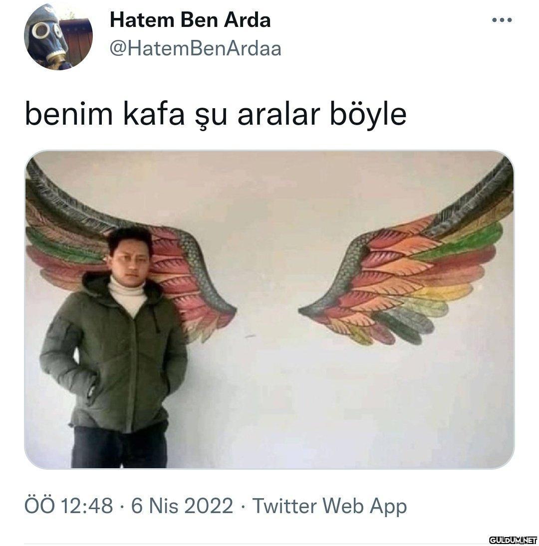 Hatem Ben Arda •.....