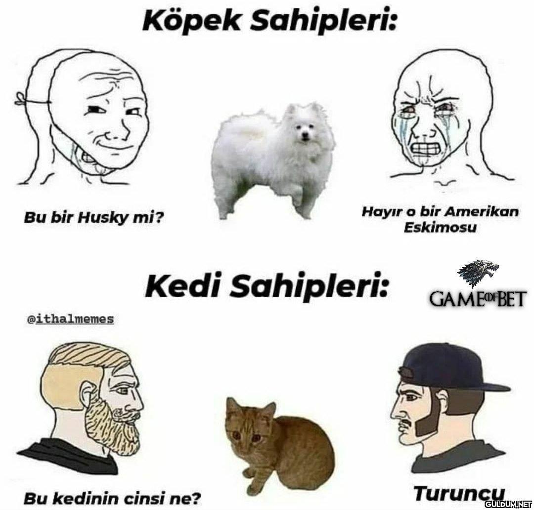 True post 😂...
