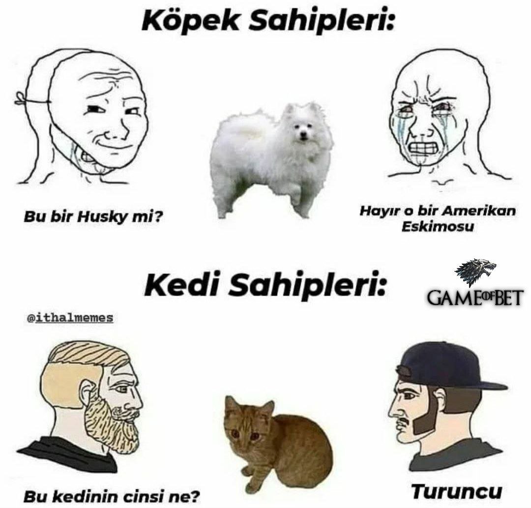 True post 😂...